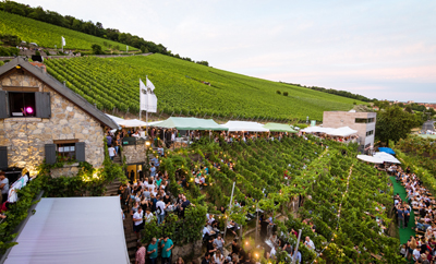 Wein am Stein - Impressionen